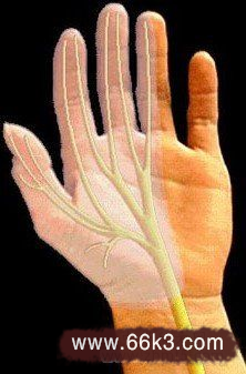 手指麻痛是什么原因-民间特效偏方治疗手指麻痛
