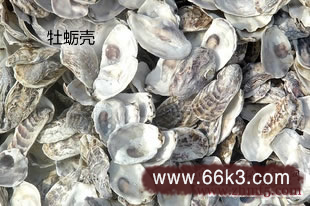 牡蛎壳