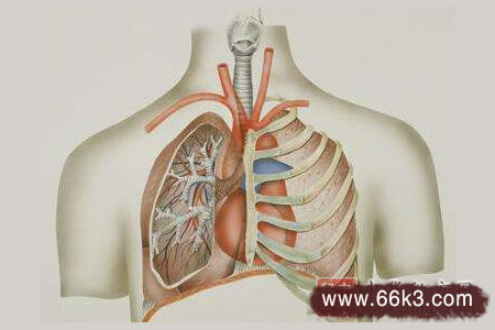 治肺气肿，肺脓疡(肺痈)验方集锦