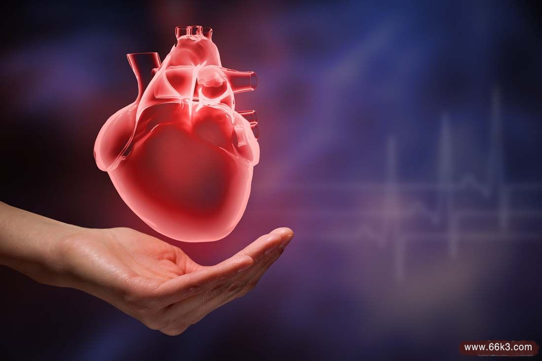 心脏神经症怎么办-祖传特效食疗偏方治疗心脏神经症